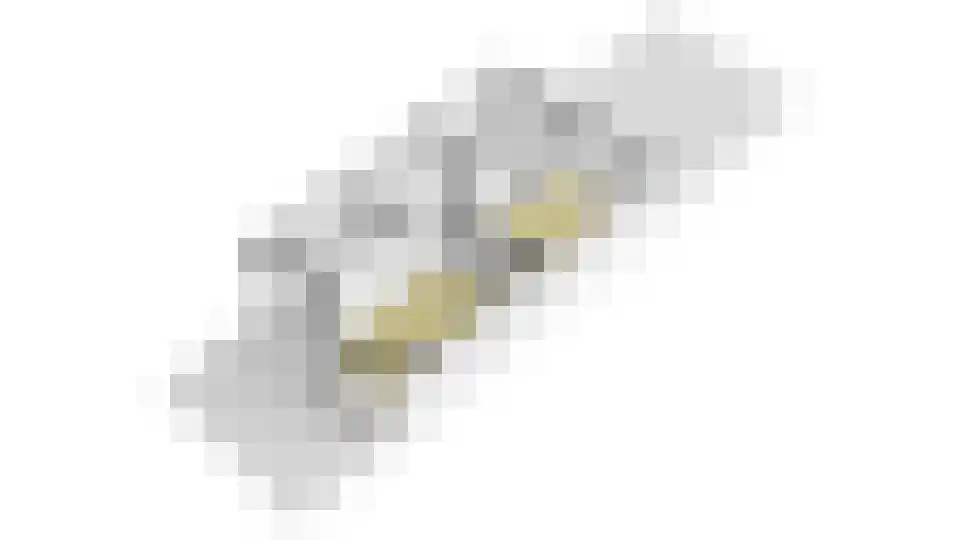 Koninginnelaan 81 Rijswijk thumbnail 71