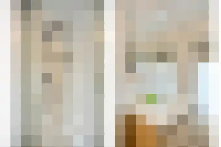 Koninginnelaan 81 Roermond thumbnail 24