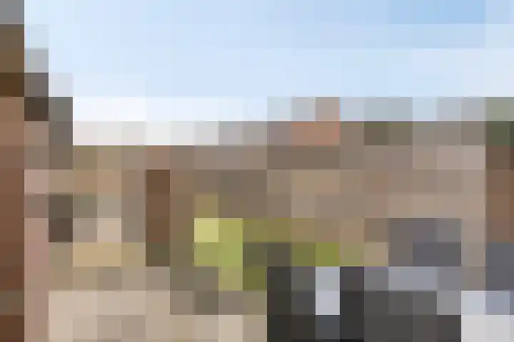 Koninginnelaan 81 Roermond thumbnail 26