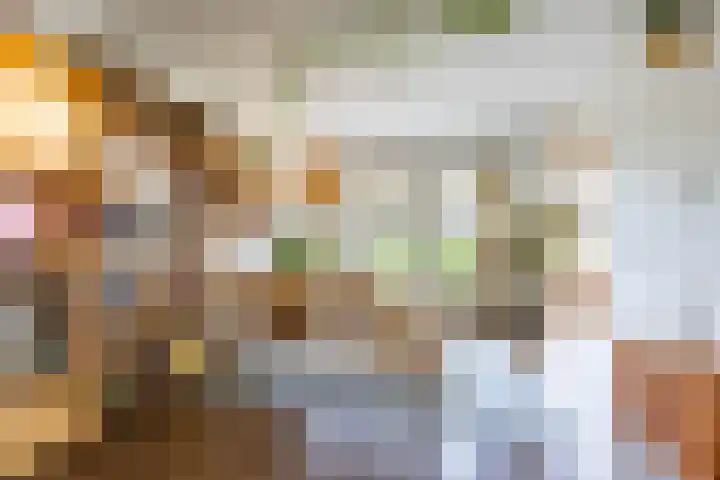 Koninginnelaan 82 a Groningen thumbnail 16