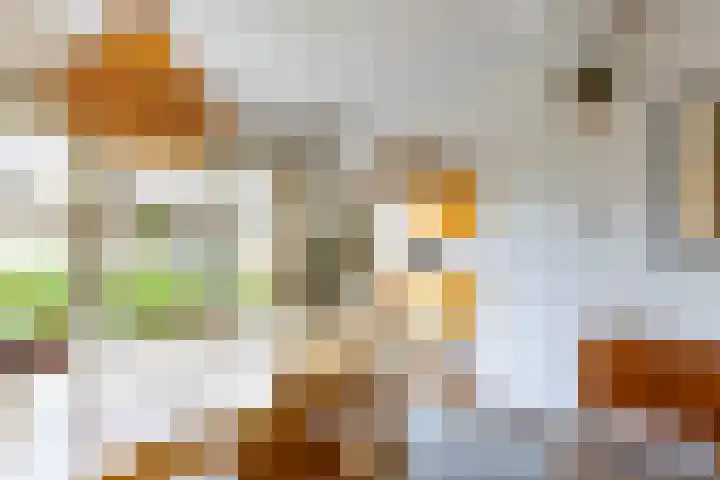 Koninginnelaan 82 a Groningen thumbnail 18