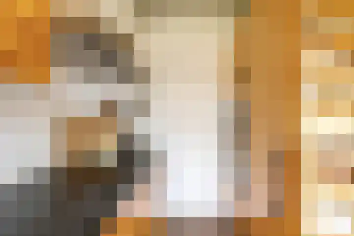 Koninginnelaan 82 a Groningen thumbnail 22