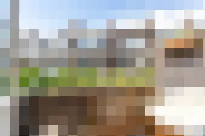 Koninginnelaan 82 a Groningen thumbnail 24