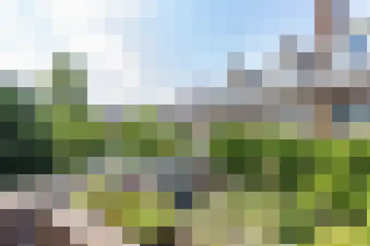 Koninginnelaan 82 a Groningen thumbnail 25