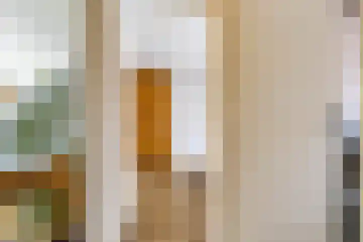 Koninginnelaan 82 a Groningen thumbnail 26