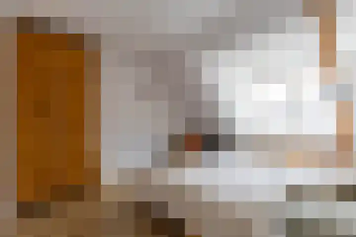 Koninginnelaan 82 a Groningen thumbnail 27