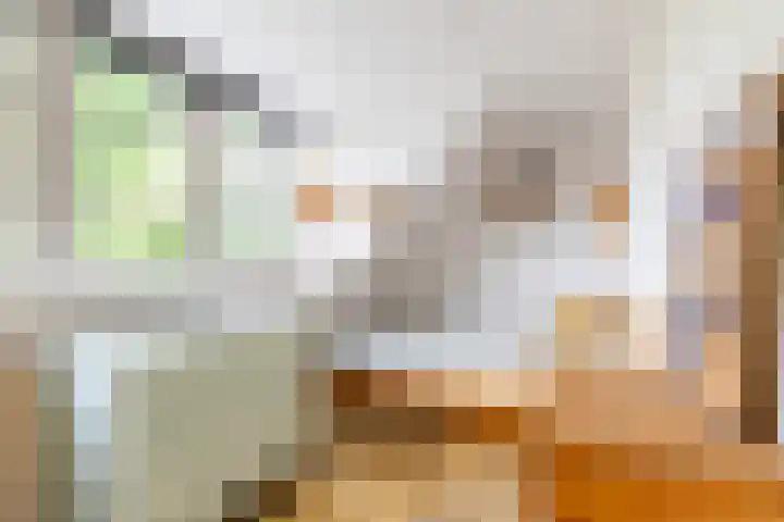 Koninginnelaan 82 a Groningen thumbnail 32