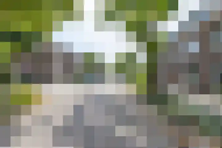 Koninginnelaan 82 a Groningen thumbnail 6