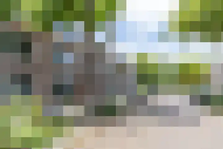 Koninginnelaan 82 a Groningen thumbnail 7