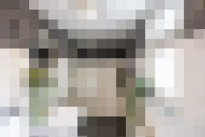 Koninginnelaan 82 Groningen thumbnail 14