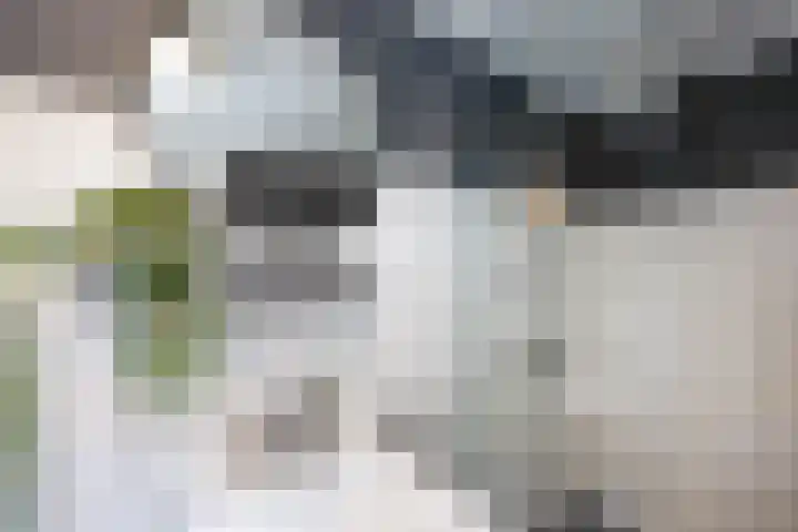 Koninginnelaan 82 Groningen thumbnail 15