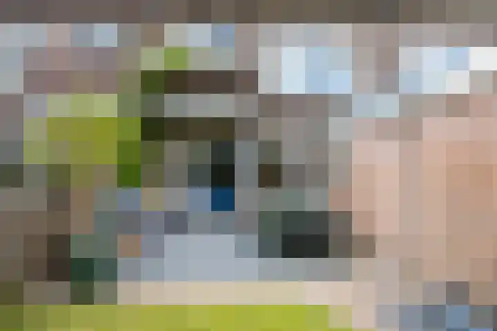 Koninginnelaan 82 Groningen thumbnail 21