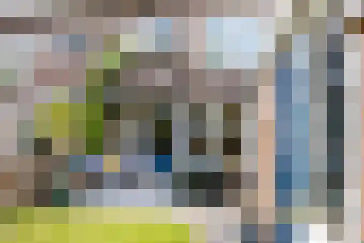 Koninginnelaan 82 Groningen thumbnail 22
