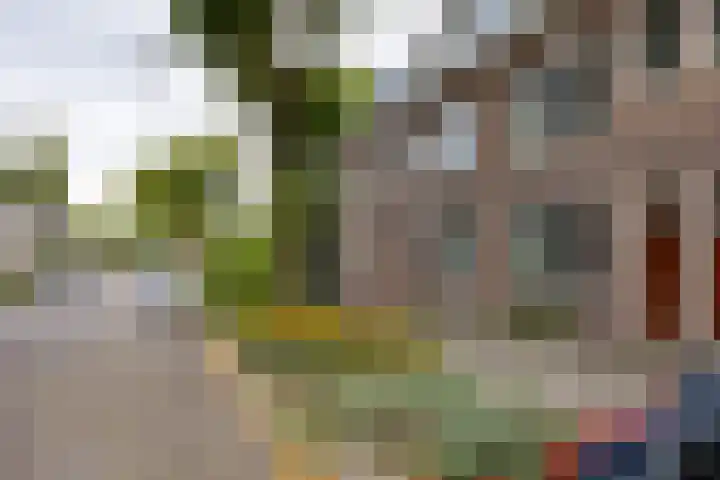 Koninginnelaan 82 Groningen thumbnail 31