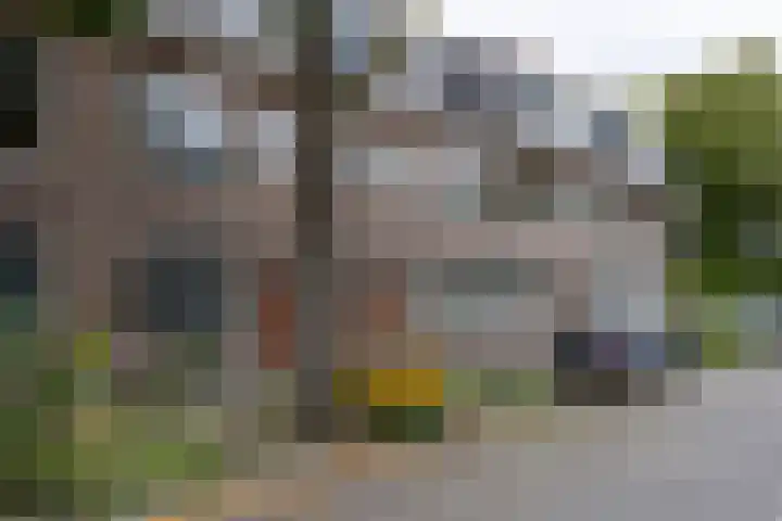 Koninginnelaan 82 Groningen thumbnail 32