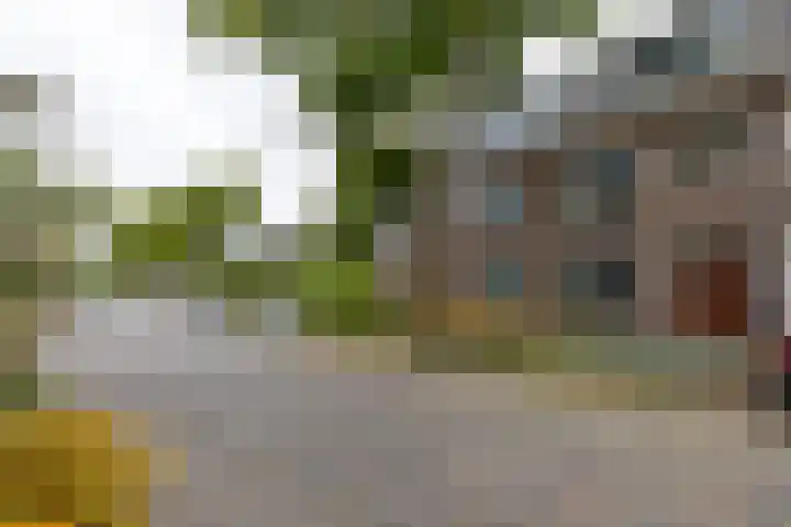 Koninginnelaan 82 Groningen thumbnail 33