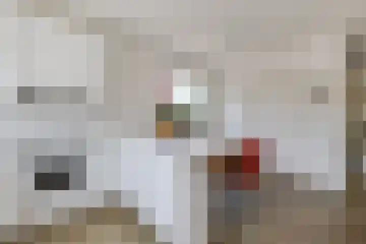 Koninginnelaan 83 Doetinchem thumbnail 16