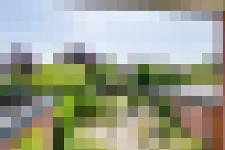 Koninginnelaan 83 Doetinchem thumbnail 24
