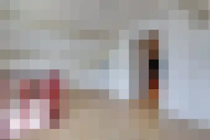 Koninginnelaan 83 Doetinchem thumbnail 30