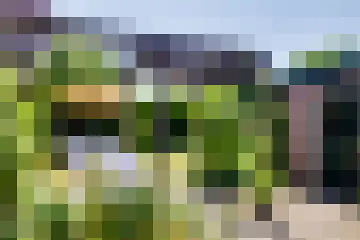 Koninginnelaan 83 Doetinchem thumbnail 35