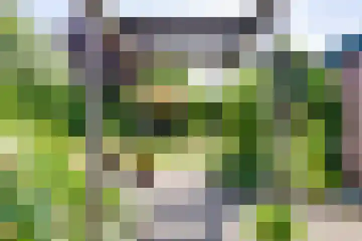 Koninginnelaan 83 Doetinchem thumbnail 36