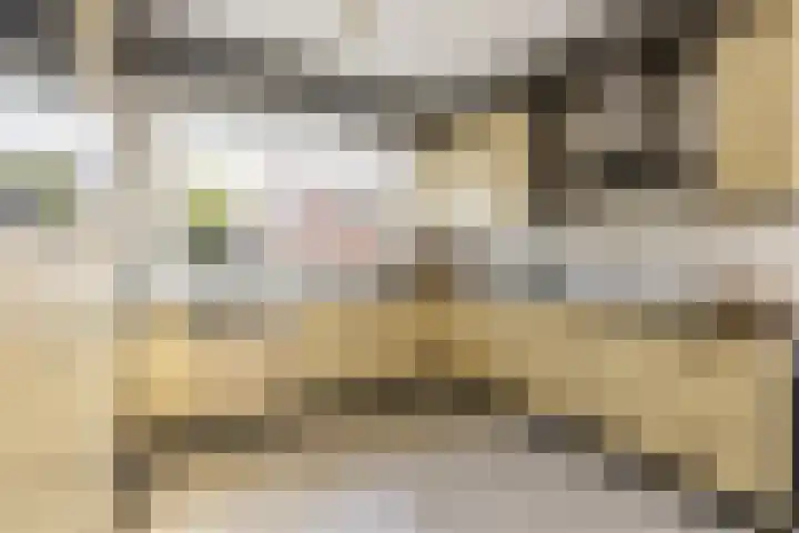 Koninginnelaan 87 Doetinchem thumbnail 11