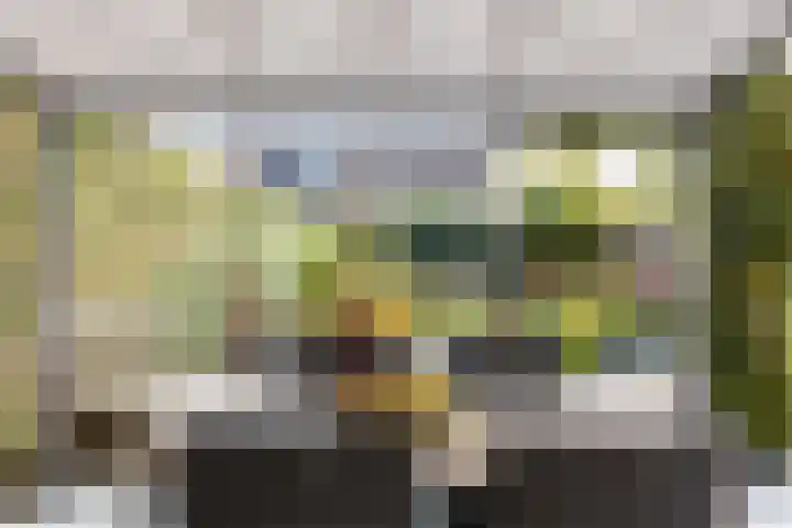 Koninginnelaan 87 Doetinchem thumbnail 20