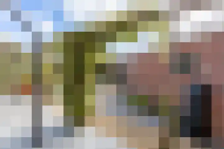 Koninginnelaan 87 Doetinchem thumbnail 23
