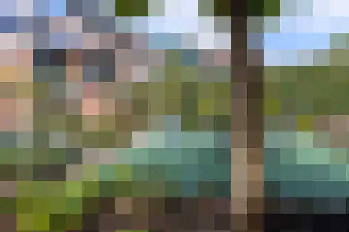 Koninginnelaan 87 Doetinchem thumbnail 26