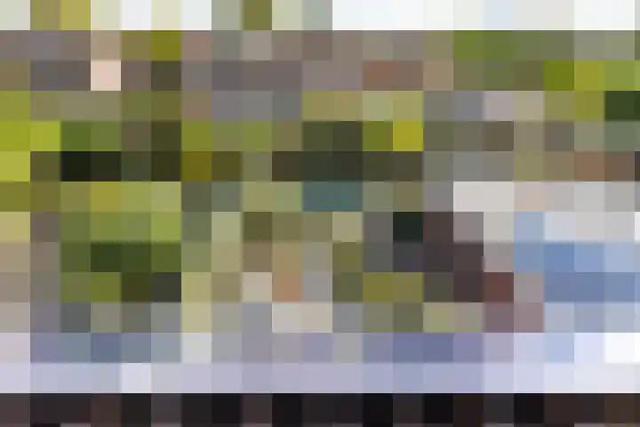 Koninginnelaan 87 Doetinchem thumbnail 30