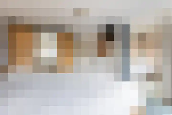 Koninginnelaan 87 Doetinchem thumbnail 38
