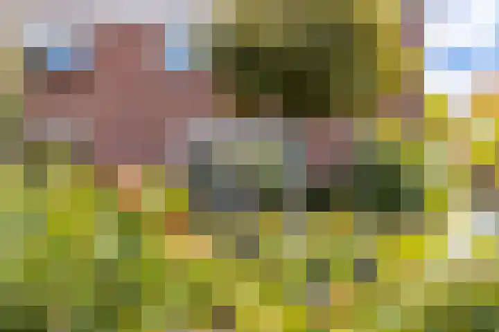 Koninginnelaan 87 Doetinchem thumbnail 57