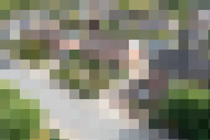 Koninginnelaan 87 Doetinchem thumbnail 62