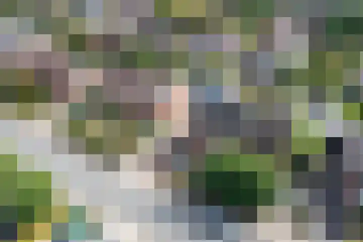 Koninginnelaan 87 Doetinchem thumbnail 63
