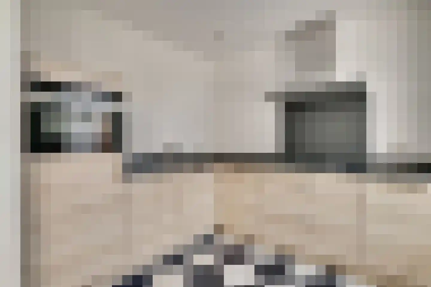 Koninginnelaan 88 Roermond thumbnail 5