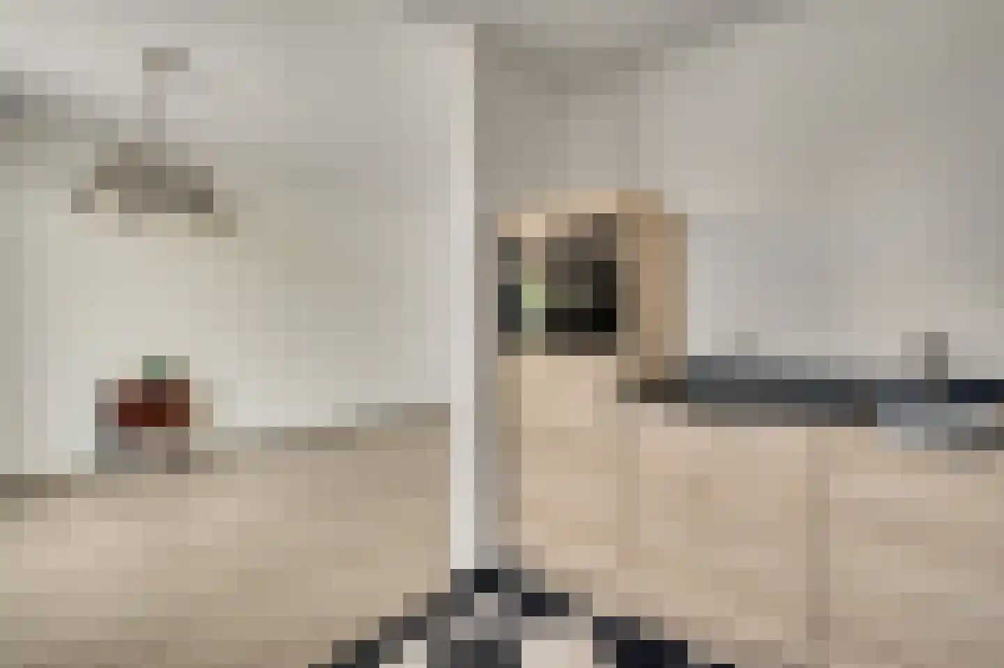 Koninginnelaan 88 Roermond thumbnail 6
