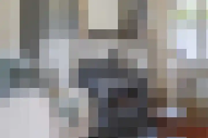 Koninginnelaan 9 Apeldoorn thumbnail 10