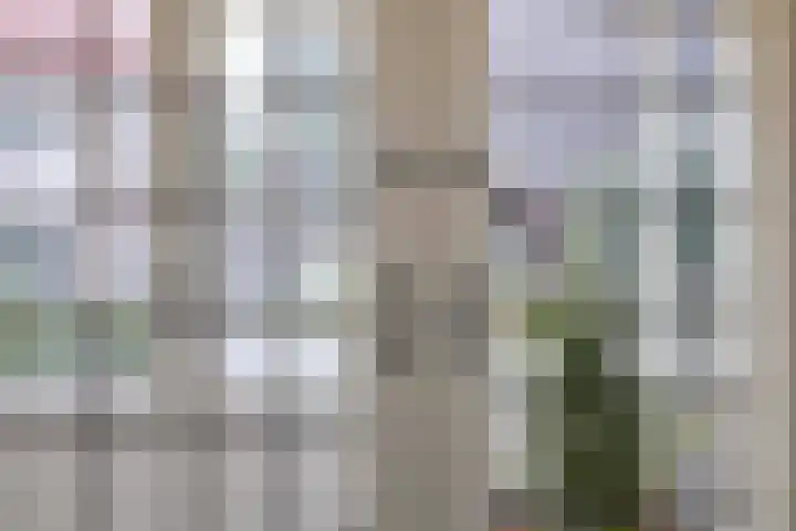 Koninginnelaan 9 Apeldoorn thumbnail 14