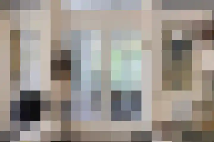 Koninginnelaan 9 Apeldoorn thumbnail 17
