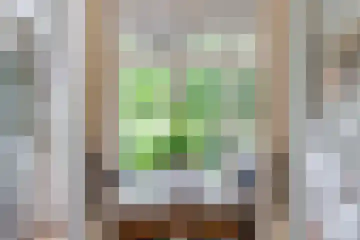 Koninginnelaan 9 Apeldoorn thumbnail 18
