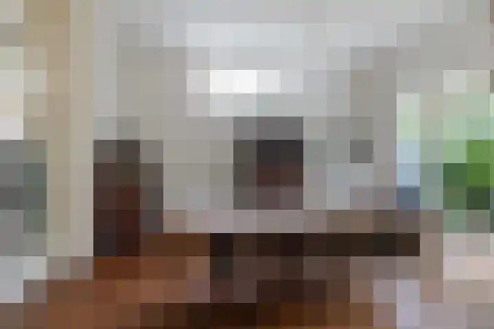 Koninginnelaan 9 Apeldoorn thumbnail 20