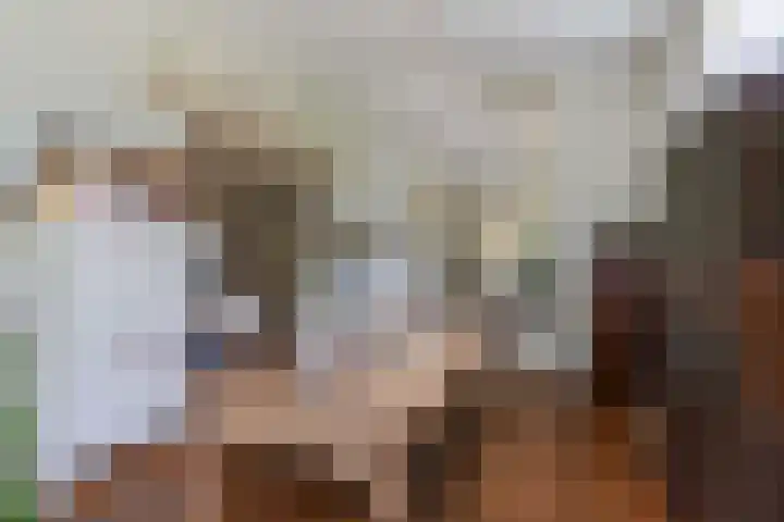 Koninginnelaan 9 Apeldoorn thumbnail 21