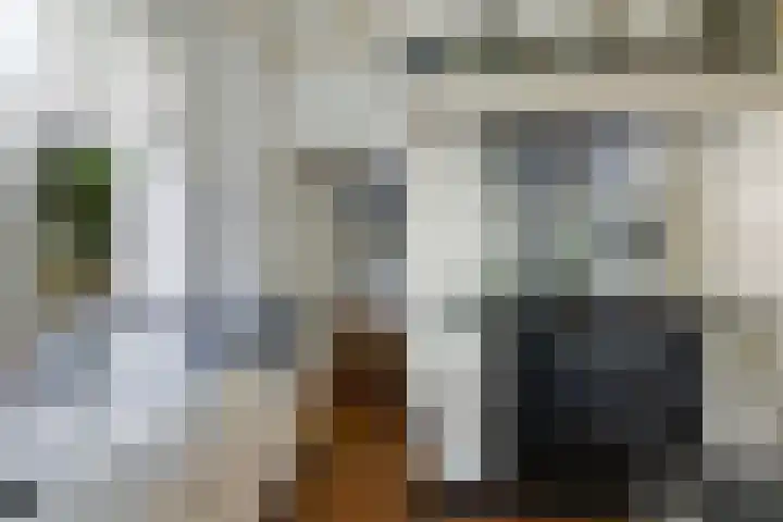 Koninginnelaan 9 Apeldoorn thumbnail 23