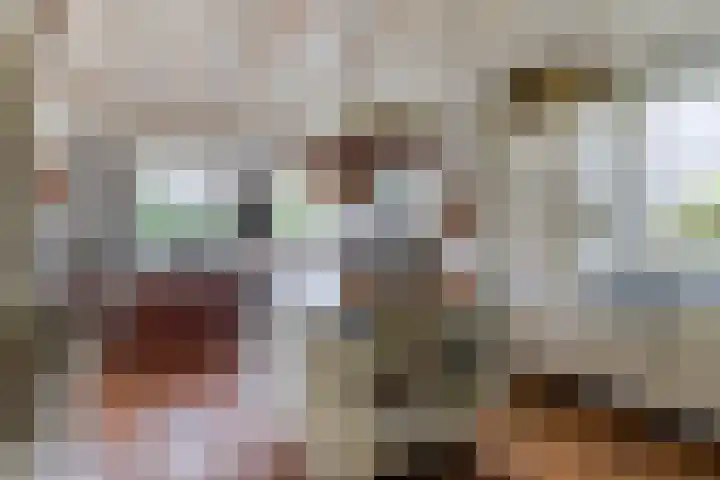 Koninginnelaan 9 Apeldoorn thumbnail 24