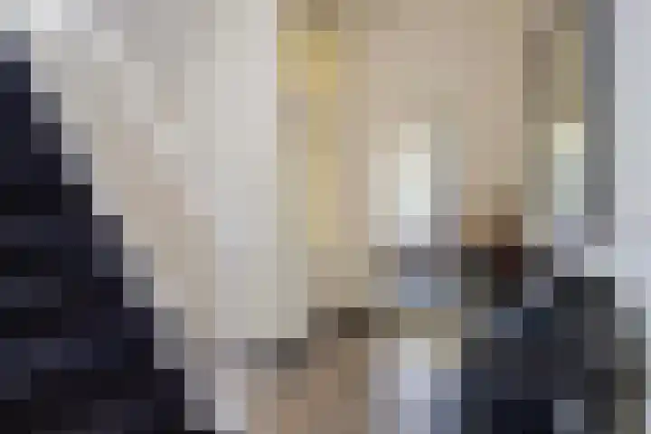 Koninginnelaan 9 Apeldoorn thumbnail 25