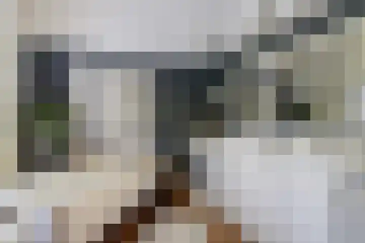 Koninginnelaan 9 Apeldoorn thumbnail 34