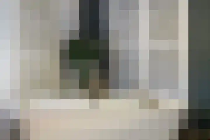 Koninginnelaan 9 Apeldoorn thumbnail 35