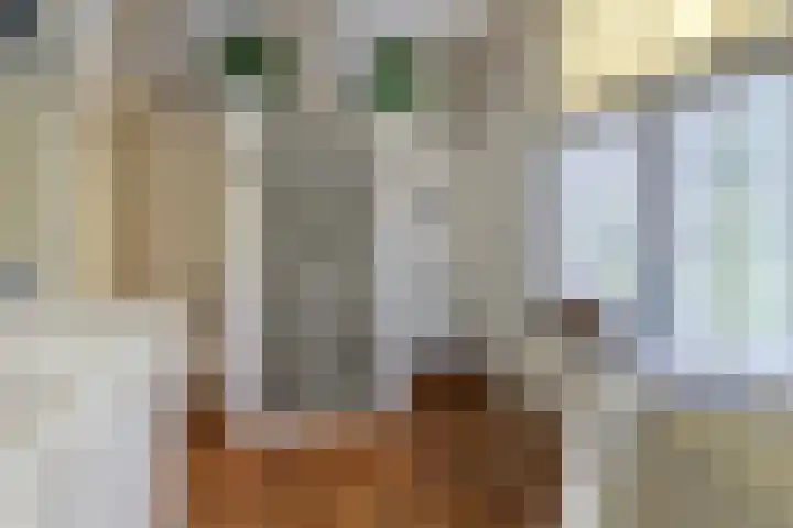 Koninginnelaan 9 Apeldoorn thumbnail 36