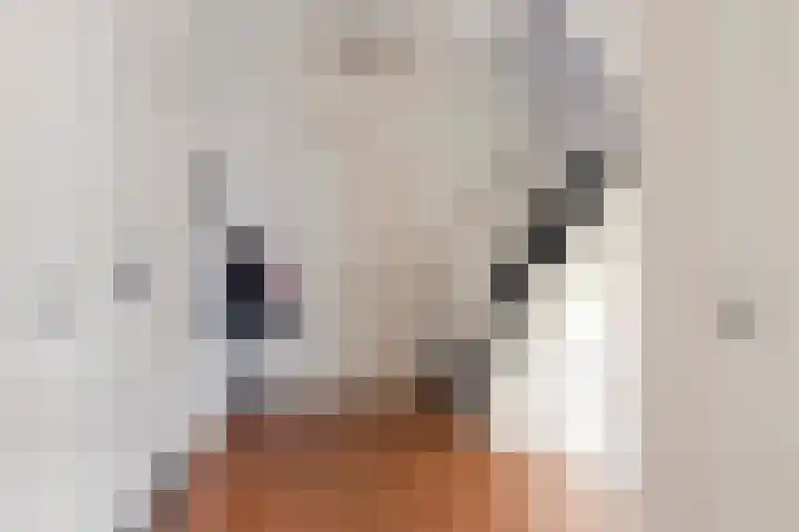Koninginnelaan 9 Apeldoorn thumbnail 38