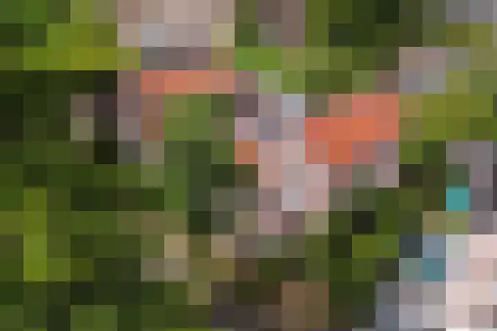 Koninginnelaan 9 Apeldoorn thumbnail 4